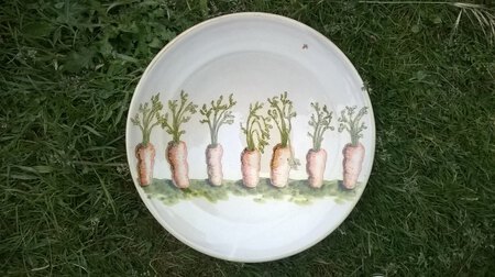 grand plat carrottes